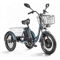картинка Электровелосипед трёхколёсный ELTRECO PORTER FAT 500 магазин Fastoo являющийся официальным дистрибьютором в России 