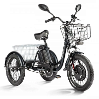 картинка Электровелосипед трёхколёсный ELTRECO PORTER FAT 700 магазин Fastoo являющийся официальным дистрибьютором в России 